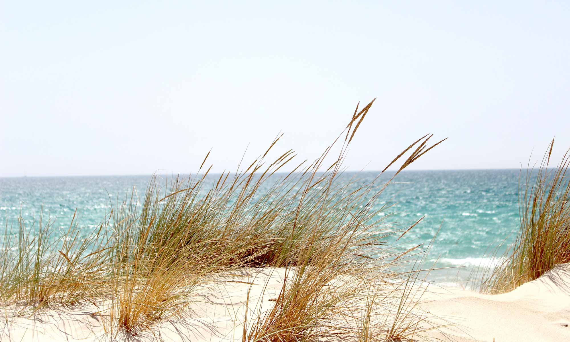 buysellnaplesrealestate